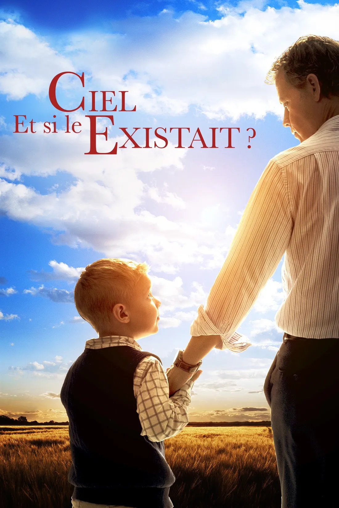 Et si le Ciel existait ? (2014)